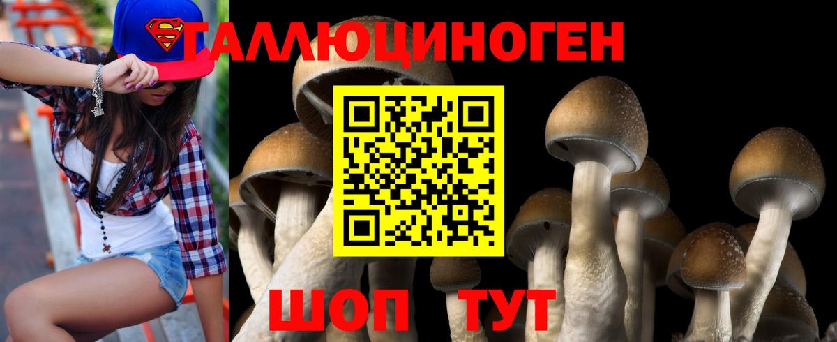 Псилоцибиновые грибы Cubensis  Галлюциногенные грибы Magic Shrooms  Карпинск  Вход с VPN 